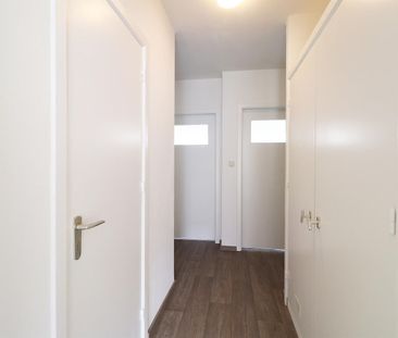 Appartement - Photo 2