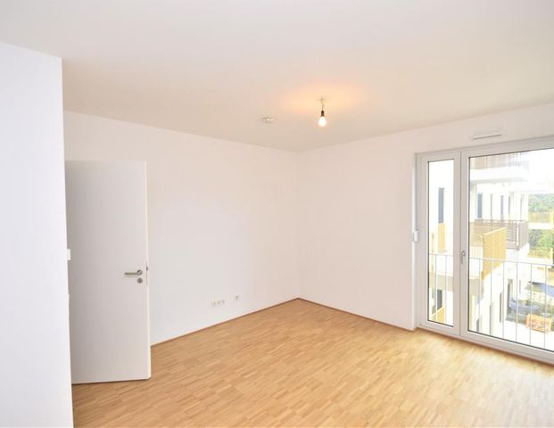 Neues Jahr - neue Mieter - Photo 1