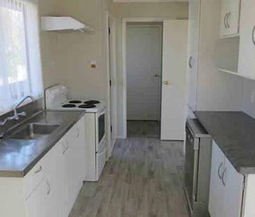 PRICE REDUCED - Pukekohe Family Home - Photo 5