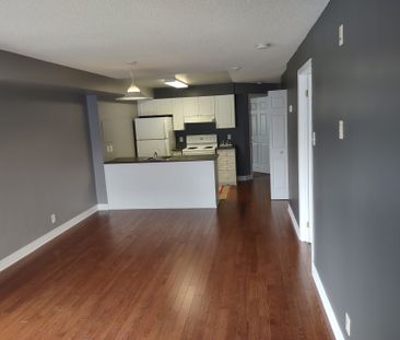 For Lease - 429 Somerset Street Unit# 313, Ottawa Centre, Ontario - Photo 4