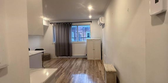 1 CH - 1 SDB - Montréal - $1,145 /mo - Photo 2