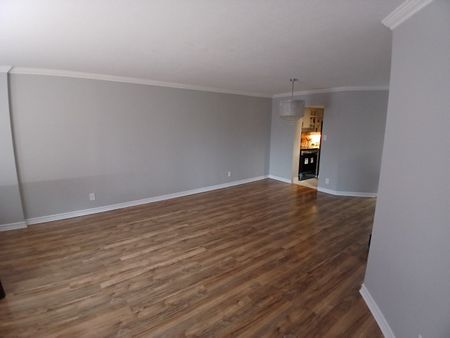 For Lease - 151 BAY Street Unit# 104, Ottawa Centre, Ontario - Photo 3