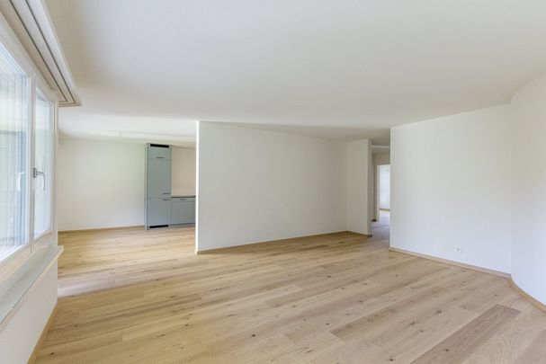 MIETEN OHNE KAUTION - Sanierte Wohnung in Ueberbauung gesucht ? - Photo 1