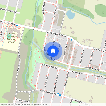 38 Rana Road, Flat Bush, Auckland