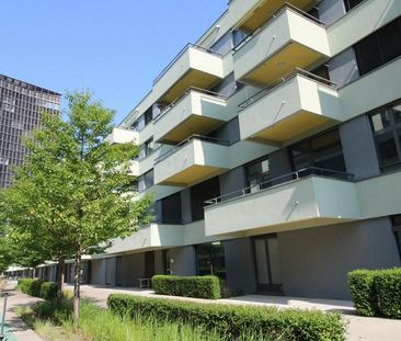 Moderne Wohnung mit Balkon und eigenem Waschturm - Photo 1