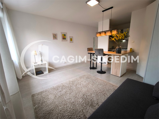Location Appartement 1 pièce 23m² HUNINGUE 68330 - Photo 1
