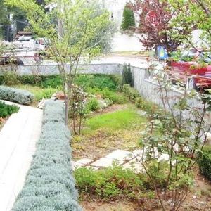 Μεζονέτα για ενοικίαση Κέντρο Δροσιάς (Δροσιά) - Φωτογραφία 3