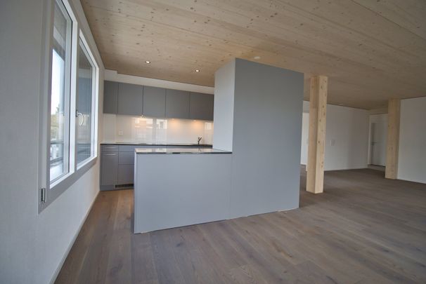 4.5 Zimmer, 133 m², 1. Stock - Foto 1