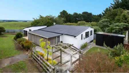 Cute 3 bedroom house with nice garden in Hawera - Photo 5