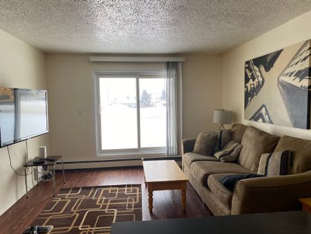 Green Glen B – 1 Bedroom Furnished - Photo 3