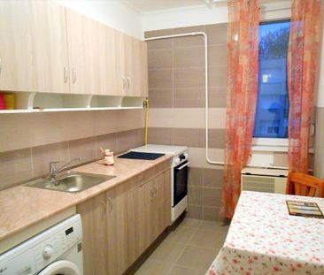 Kiadó felújított lakás - Debrecen - Fotó 4