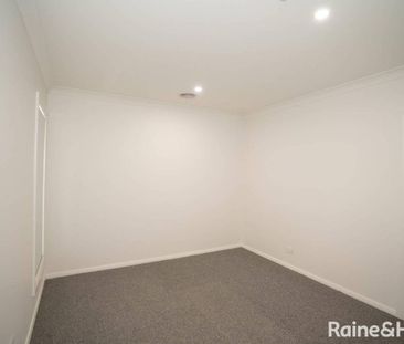 Jump into Jumbuck - Photo 4