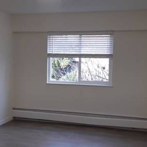 2 Bedroom Apt Commercial Dr - Photo 3