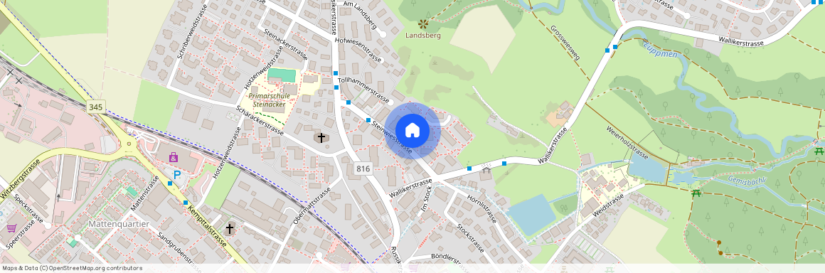 Steinwiesstr, 12, 8330 Pfäffikon ZH