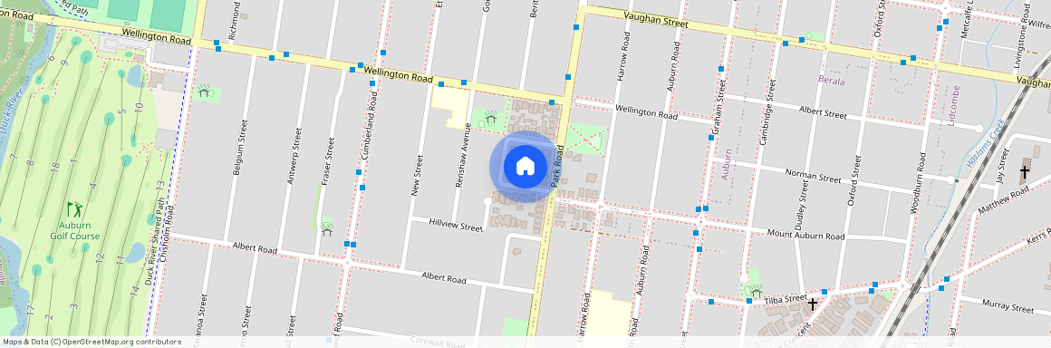 18A Angus Ave, Auburn NSW 2144