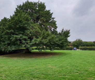 Margrietstraat 113 - Photo 5