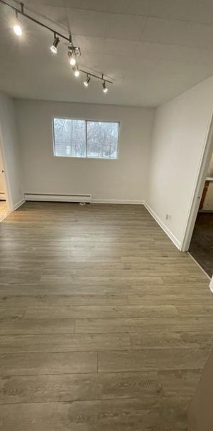 À Louer 2 1/2 - Photo 1