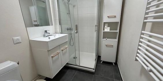 Location Appartement 2 pièces 47m² LOOS 59120 - Photo 3