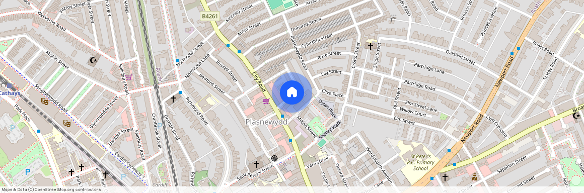 Talworth Street, CF24 3EH, Roath