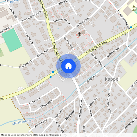 4616 Kappel SO