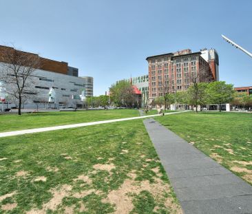Apartment for rent, Montréal (Ville-Marie) - Photo 4