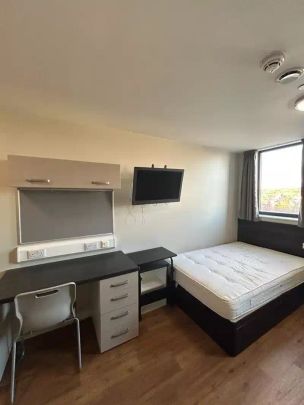 Classic Studio - Photo 1