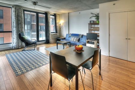 Condo for rent, Montréal (Le Sud-Ouest) - Photo 4