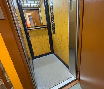 Pronájem bytu 2+1 v osobním vlastnictví 58 m², Plzeň - Photo 2