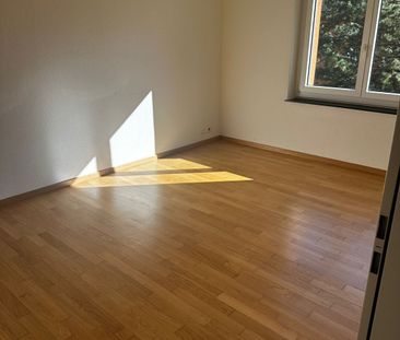 Charmante 2.5-Zimmer-Wohnung in Oberglatt - Photo 1