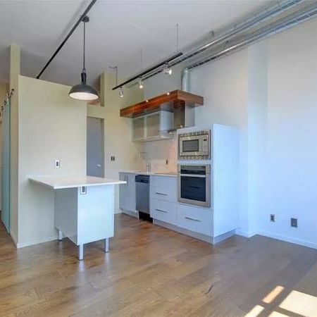 Modern Industrial/Loft-style, Pet-Friendly Apartment Jan. 1 Report Ad - Photo 4