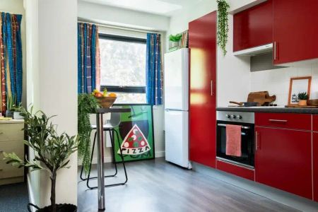 Extra Large High Double Studio - Photo 4