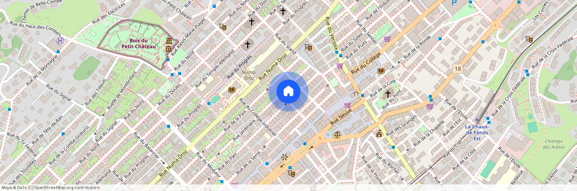 2300, La Chaux-de-Fonds, Rue du Parc, 8