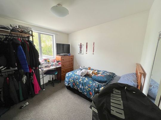 Post quake built apartment with double glazing. - Photo 1