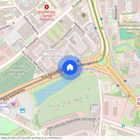 ul. Przy Kaszowniku, Stare Miasto, Toruń, kujawsko-pomorskie