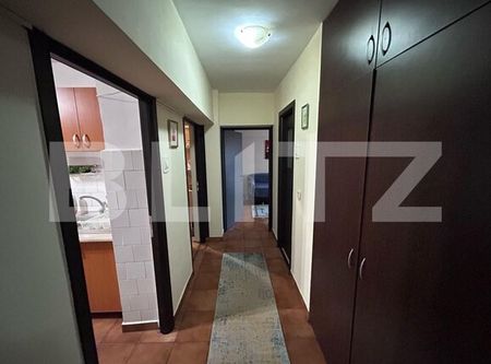 Apartament cu 3 camere, PETFRIENDLY, zona Brazda lui Novac - Photo 2