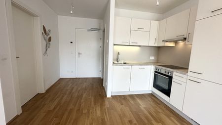 Moderne 2 Zi Wohnung mit Balkon provisionsfrei - nahe U1 - Foto 5