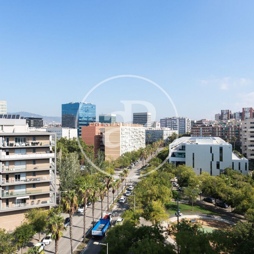 Apartment for Rent in Marina del Port - Photo 1