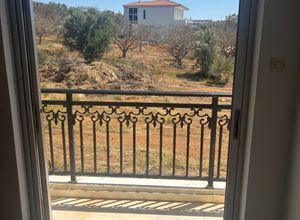 Μονοκατοικία για ενοικίαση - Μαρκόπουλο, - Φωτογραφία 5