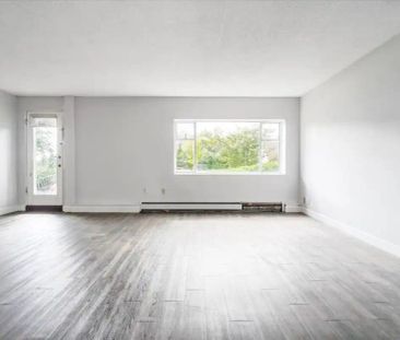Hillcrest Manor Apartments — 1 Bedroom available at 1303 Eighth Ave... - Photo 2