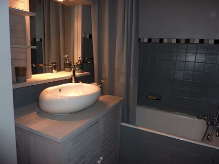 Location Appartement 1 pièce 28m² - Photo 4