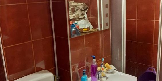 Inchiriere apartament o camera blascovici - Fotografie 3