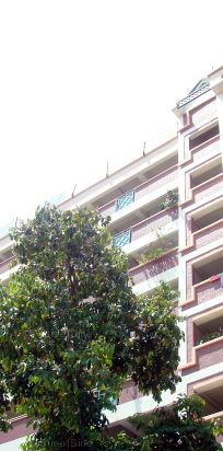 Blk 810 Woodlands Street 81 (Woodlands), HDB 4 Rooms - For Rent - Photo 1
