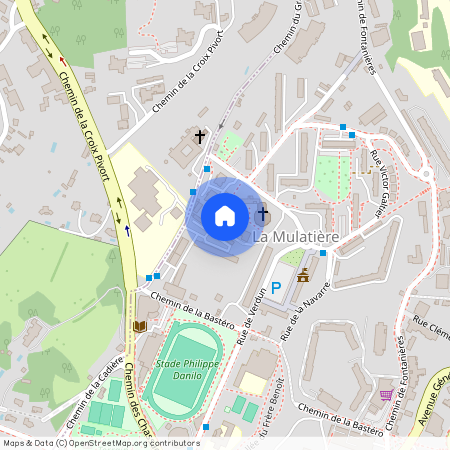 12 AVENUE DELATTRE DE TASSIGNY, LA MULATINE, LA MULATIERE Le Roule