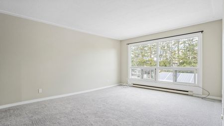 For Lease - 994 Colborne Street, Brantford, Ontario - Photo 5