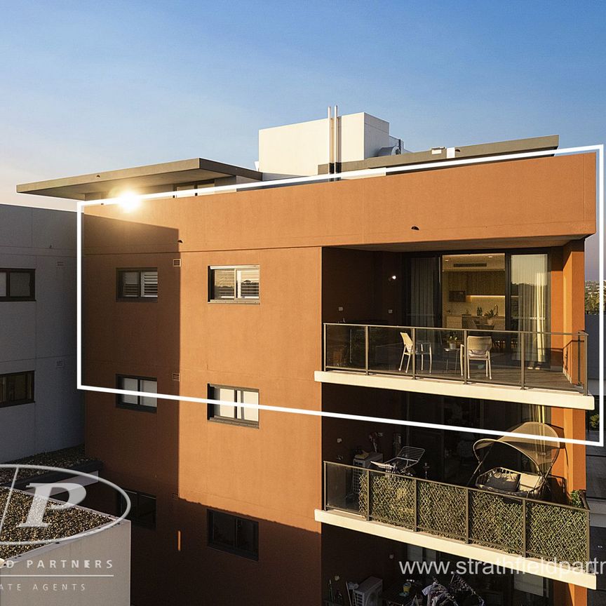 Stunning Top-Floor Apartment with Sweeping District Views - ACCESS VIA SMALLWOOD AVE! - Photo 1