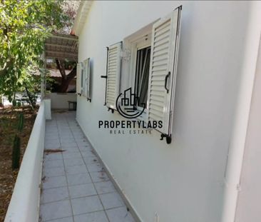 Μονοκατοικία για ενοικίαση Άγιος Ιωάννης (Αγία Παρασκευή) - Photo 5