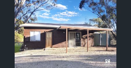 LITTLE GEM - Photo 4