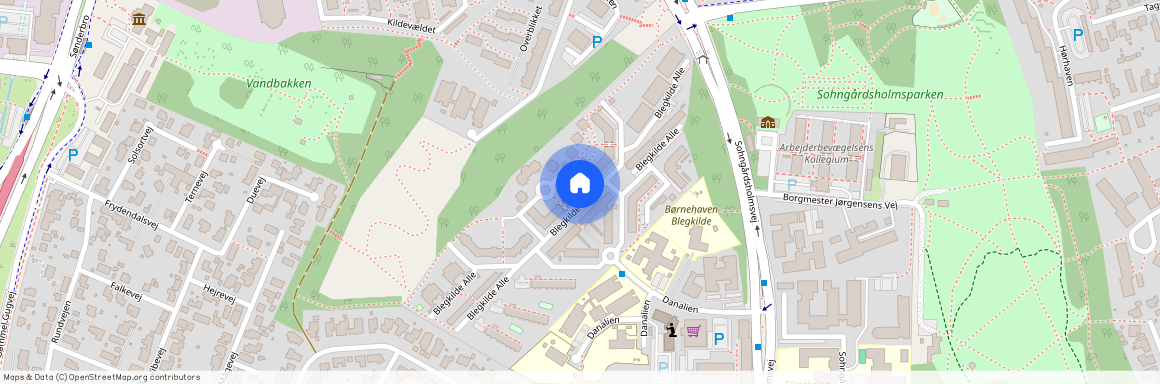 Aalborg, Blegkilde Allé 36 ST. TH.