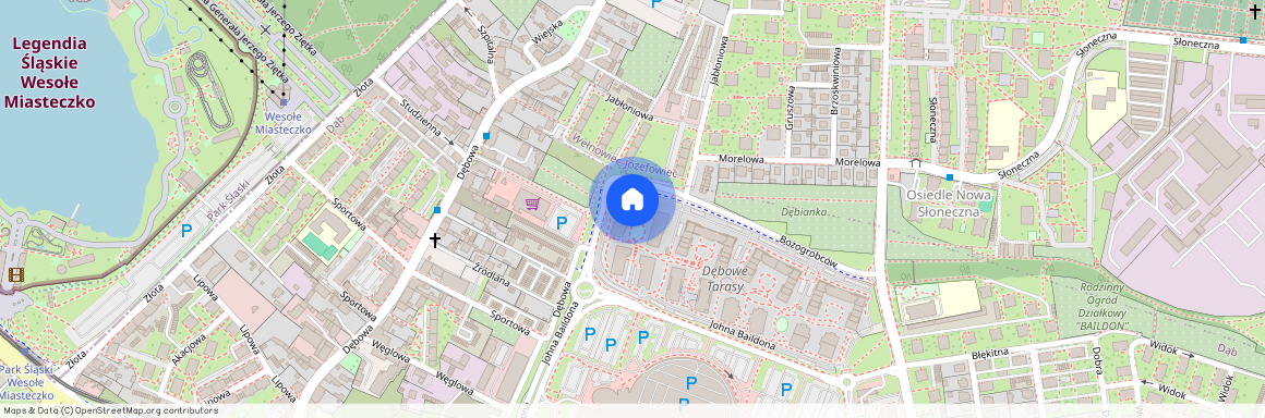 Dąb, Katowice, Katowice,