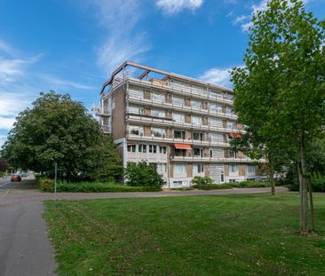 Marcus Aureliushof 36 - Photo 4